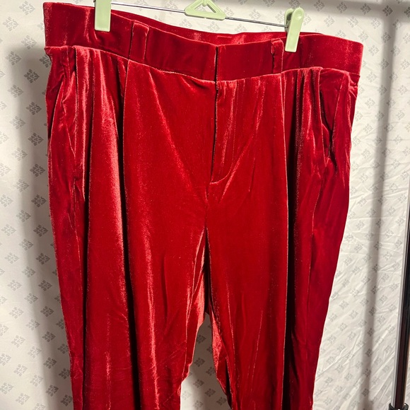 Velvet Red Pants - Picture 3 of 14